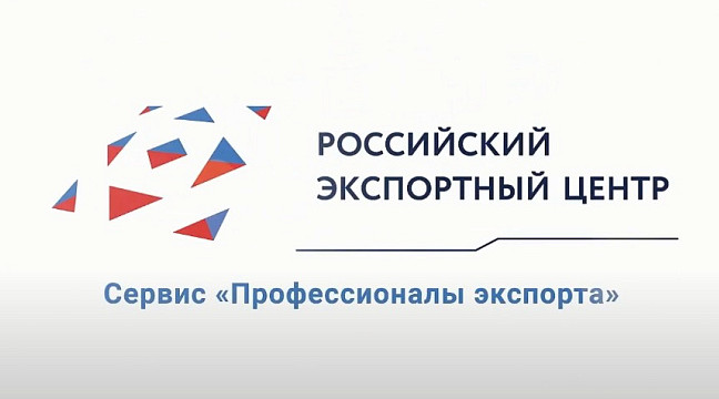 Качественная аналитика и опыт профессионалов: как изучить зарубежные рынки с помощью услуг, доступных на платформе «Мой экспорт»