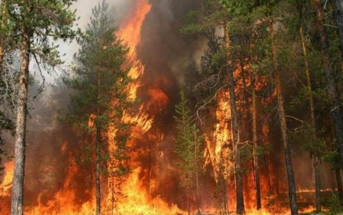 О пожаре в окрестностях села Хрюг Ахтынского района