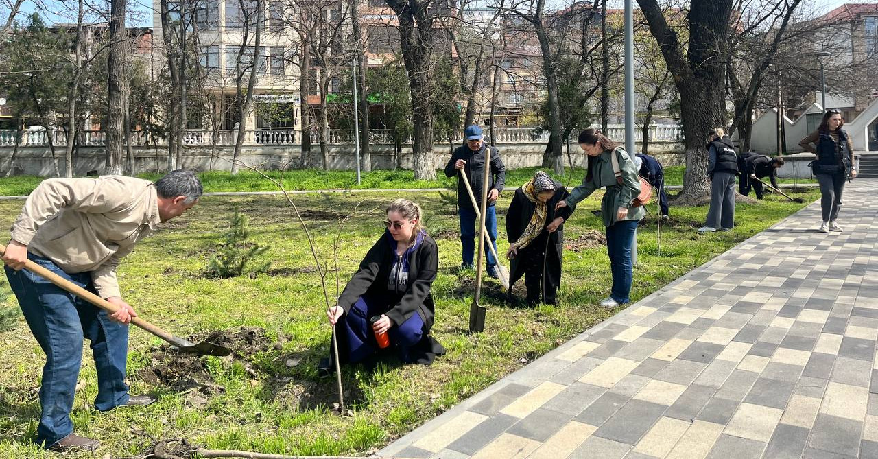 Минюстом РД посажено 40 саженцев в преддверии празднования 80-летия Победы