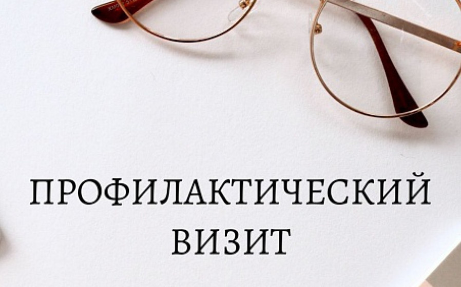 Проведен профилактический визит