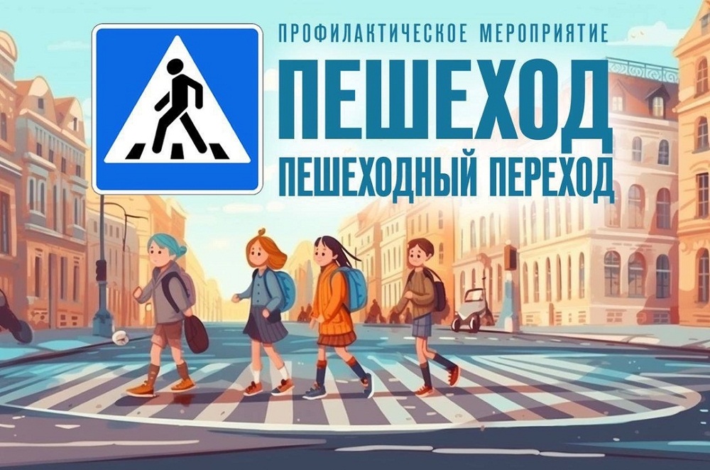 на территории Республики Дагестан проводилось оперативно-профилактическое мероприятие «Осторожно, пешеход!», направленное на снижение числа ДТП с участием пеших участников дорожного движения