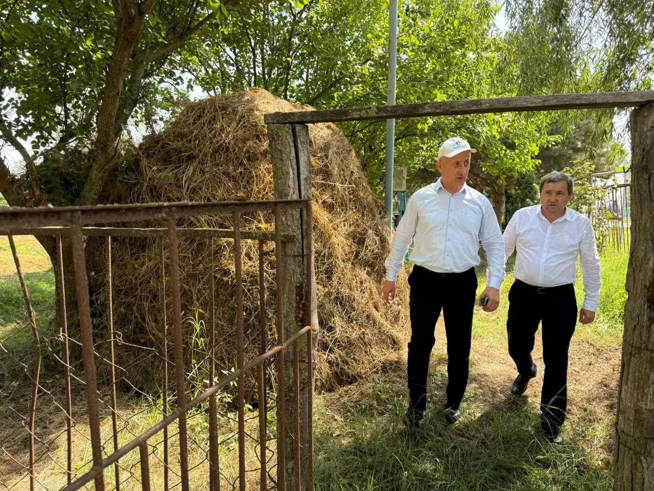 День знаний в Дарада-Мурадинском лицее